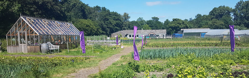 People In Place Re-integratiebureau Delft - Re-integreren In De Natuur